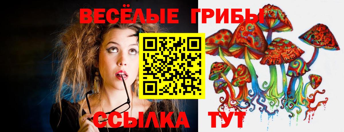 Мценск  Псилоцибиновые грибы прущие грибы  Вход с VPN 
