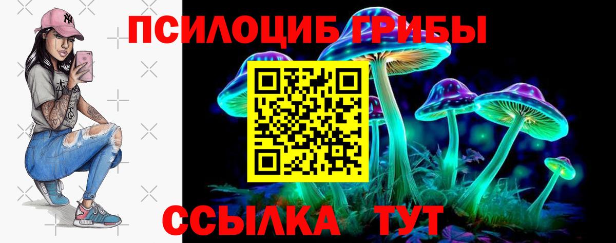 Псилоцибиновые грибы Cubensis  Галлюциногенные грибы прущие грибы  купить наркотик  Мценск 